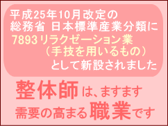 総務省　日本標準産業分類　7893リラクゼーション業として新設